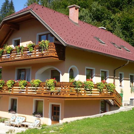 Apartma Smole Кранська Гора Екстер'єр фото